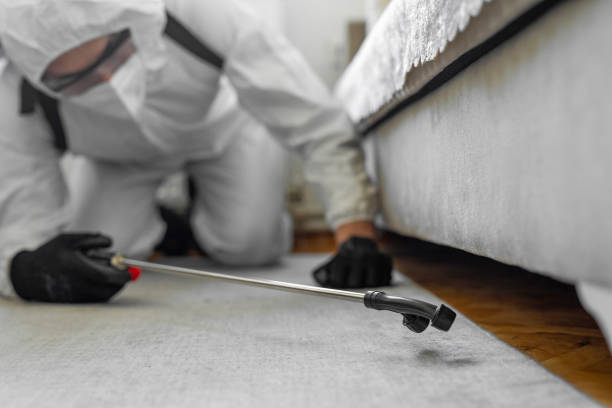 Professional Bed Bug Control technician working in Paden City, WV