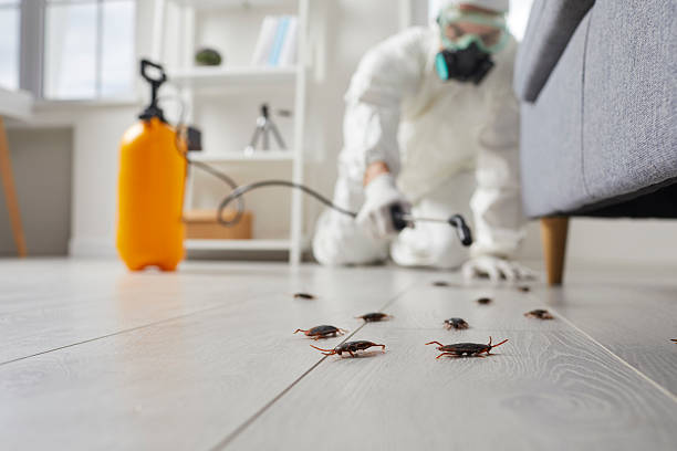 Trusted Cockroach Control service in Paden City, WV - Nex Pest Control