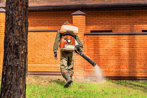 Trusted Rodent Control service in Paden City, WV - Nex Pest Control